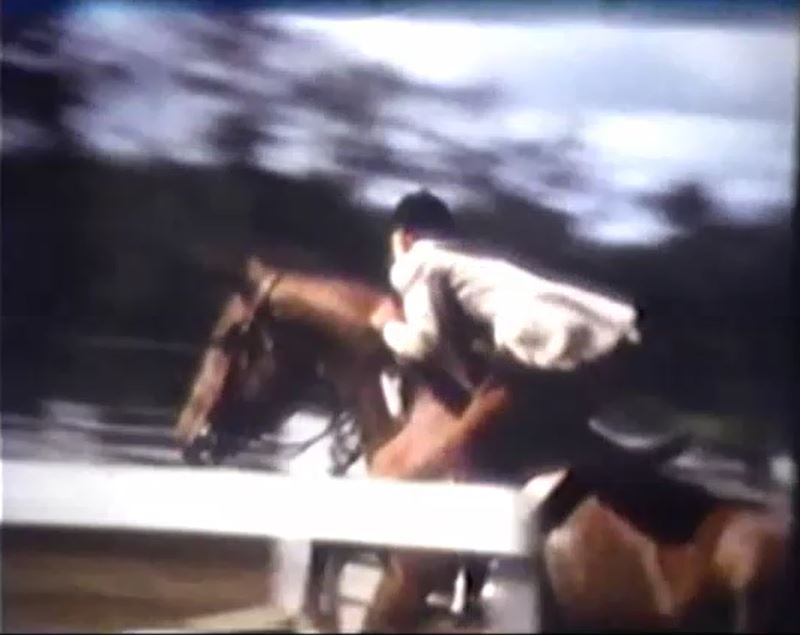 Horse and rider jumping